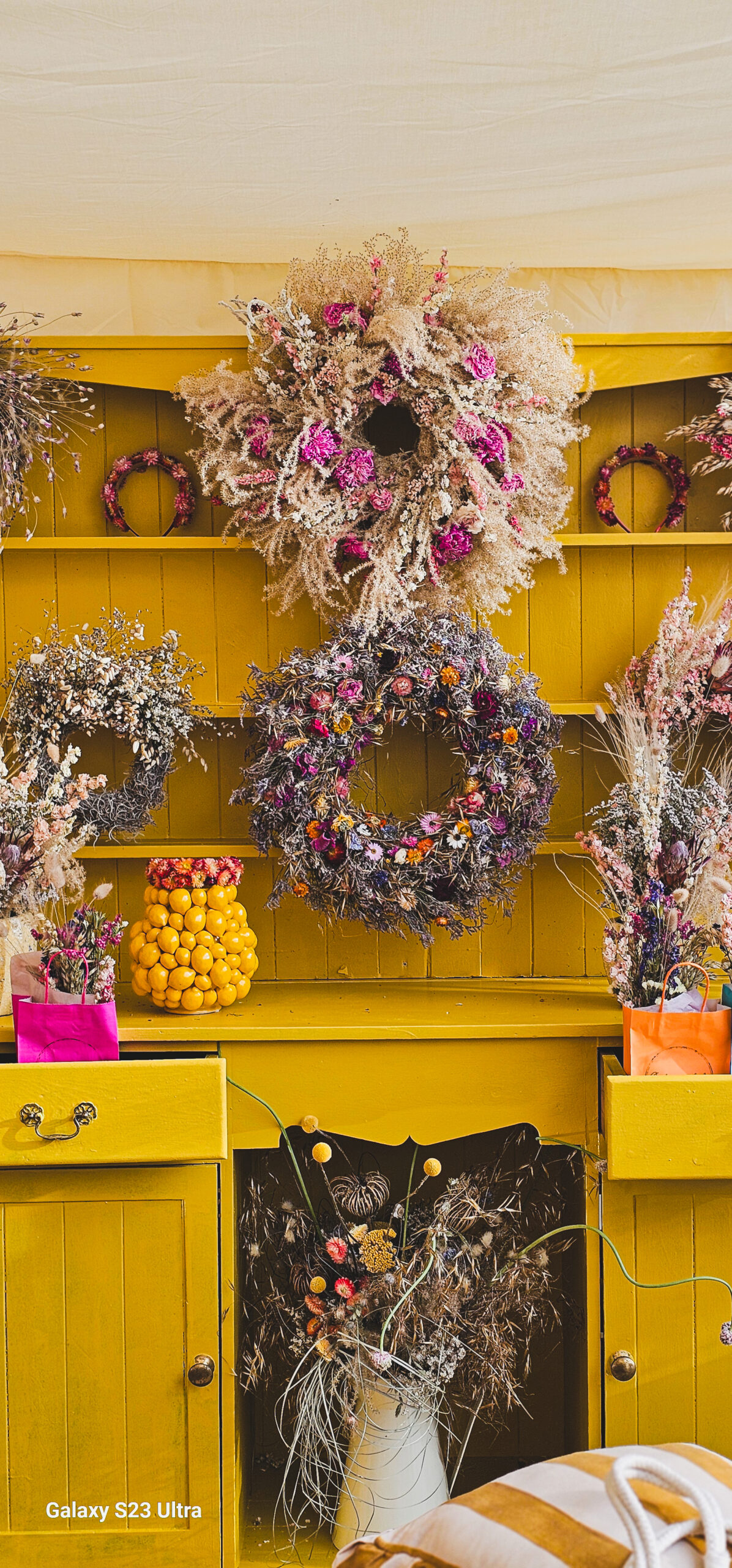 Everlasting flowers display.